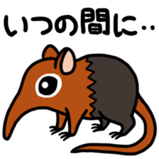 Sticker of the world rare animal sticker #7463315