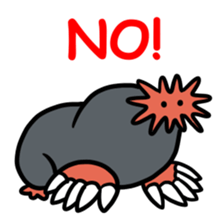 Sticker of the world rare animal sticker #7463317