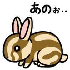 Sticker of the world rare animal sticker #7463318