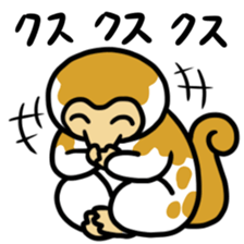 Sticker of the world rare animal sticker #7463327