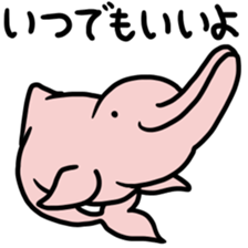 Sticker of the world rare animal sticker #7463328