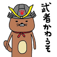 musya kawauso