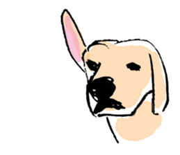 MANY DOGS! sticker #7463925