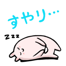 Rabbit of pocket sticker #7464918