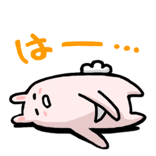 Rabbit of pocket sticker #7464927