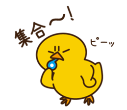 PIYO-PIYO sticker #7465322