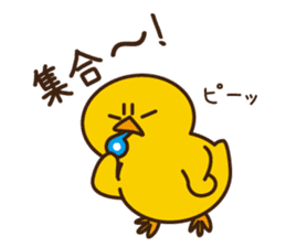 PIYO-PIYO sticker #7465322