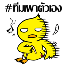 Bear & Duck, the architecture student sticker #7465462