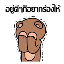 Bear & Duck, the architecture student sticker #7465466