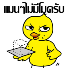 Bear & Duck, the architecture student sticker #7465469