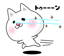 Here there was a cat3. sticker #7466336