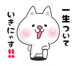 Here there was a cat3. sticker #7466340