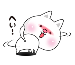 Here there was a cat3. sticker #7466353