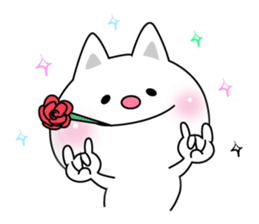 Here there was a cat3. sticker #7466368