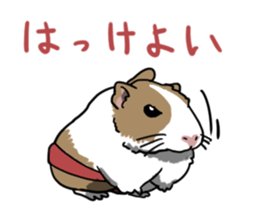 Sumo Mouses sticker #7467782