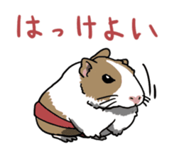 Sumo Mouses sticker #7467782