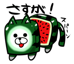 Square watermelon cat sticker #7470141