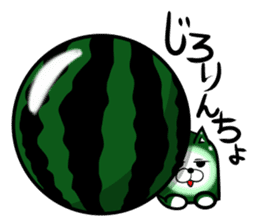 Square watermelon cat sticker #7470149