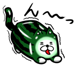Square watermelon cat sticker #7470161