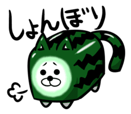 Square watermelon cat sticker #7470170