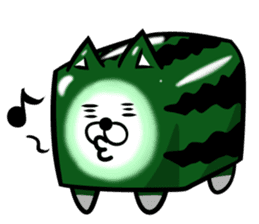 Square watermelon cat sticker #7470174