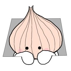 onion boy&pickled plum2