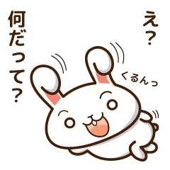 rabbit  and daily life