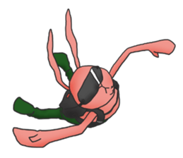 Photographer Leicabbit sticker #7476838