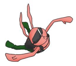 Photographer Leicabbit sticker #7476838