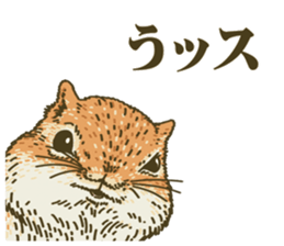 It's a squirrel sticker #7477109