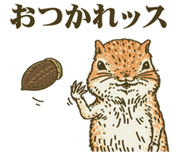 It's a squirrel sticker #7477110