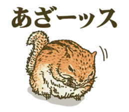 It's a squirrel sticker #7477111