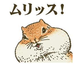 It's a squirrel sticker #7477114