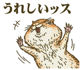 It's a squirrel sticker #7477116