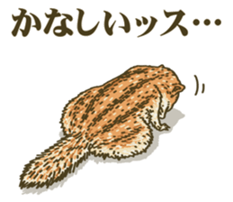 It's a squirrel sticker #7477117