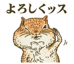 It's a squirrel sticker #7477120