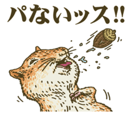 It's a squirrel sticker #7477122