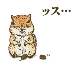 It's a squirrel sticker #7477124