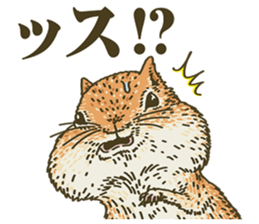 It's a squirrel sticker #7477125