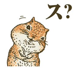 It's a squirrel sticker #7477126