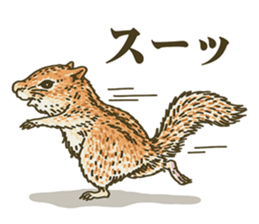 It's a squirrel sticker #7477127