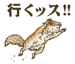 It's a squirrel sticker #7477130