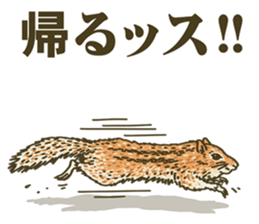 It's a squirrel sticker #7477131