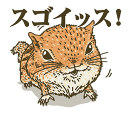 It's a squirrel sticker #7477132