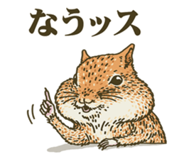 It's a squirrel sticker #7477134