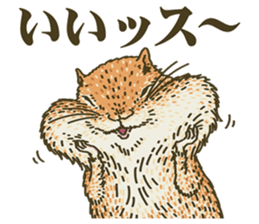 It's a squirrel sticker #7477137