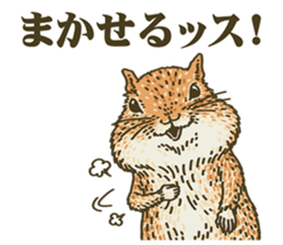 It's a squirrel sticker #7477141