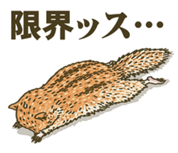 It's a squirrel sticker #7477146