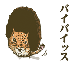 It's a squirrel sticker #7477147