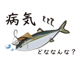 Event of the Sanuki dialect yellowtail sticker #7479554